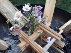 Blumen auf Holu aufstellen